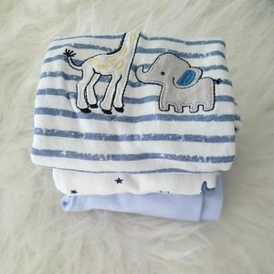 Baby animal kingdom set